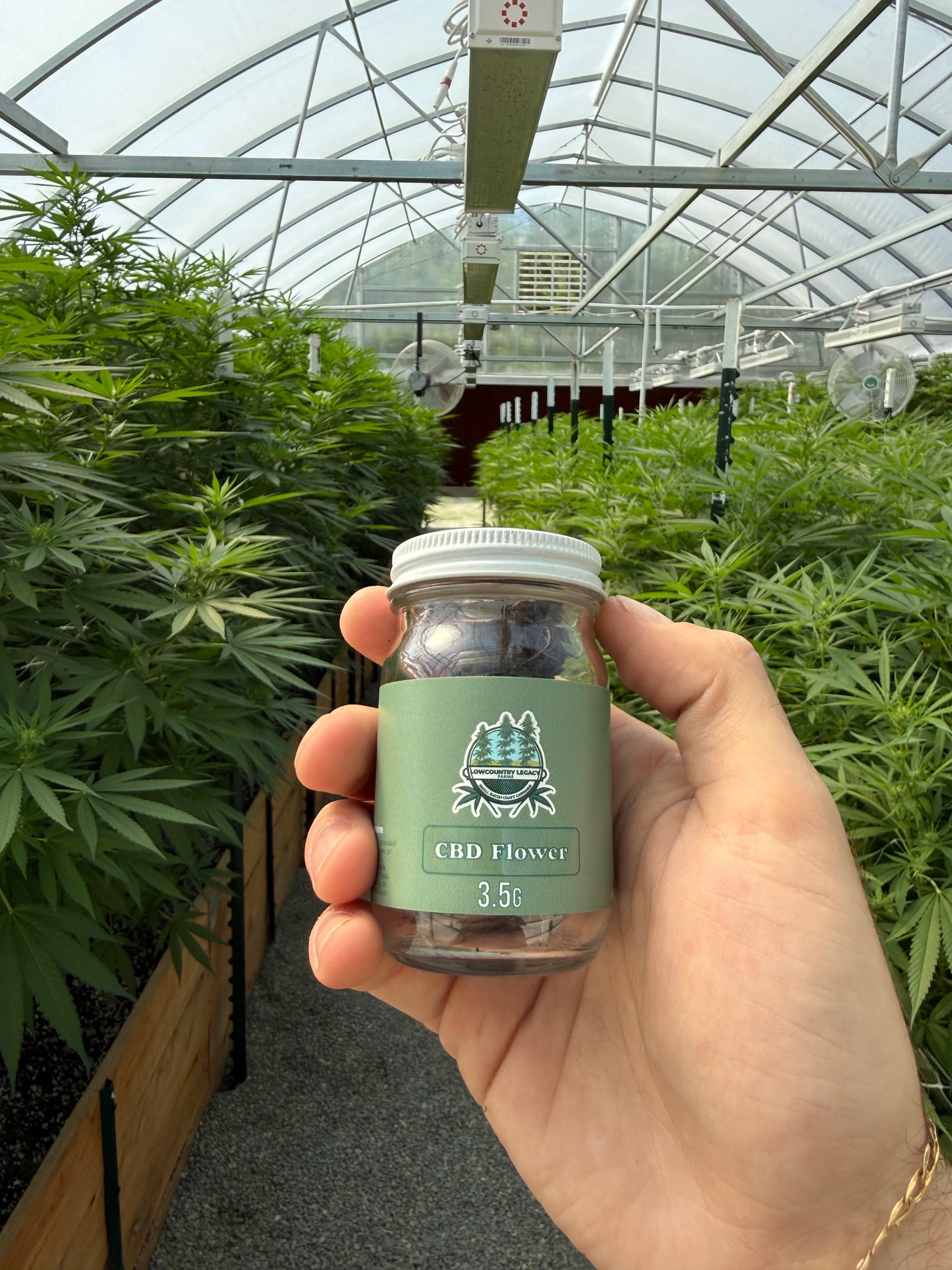 Premium CBD Flower