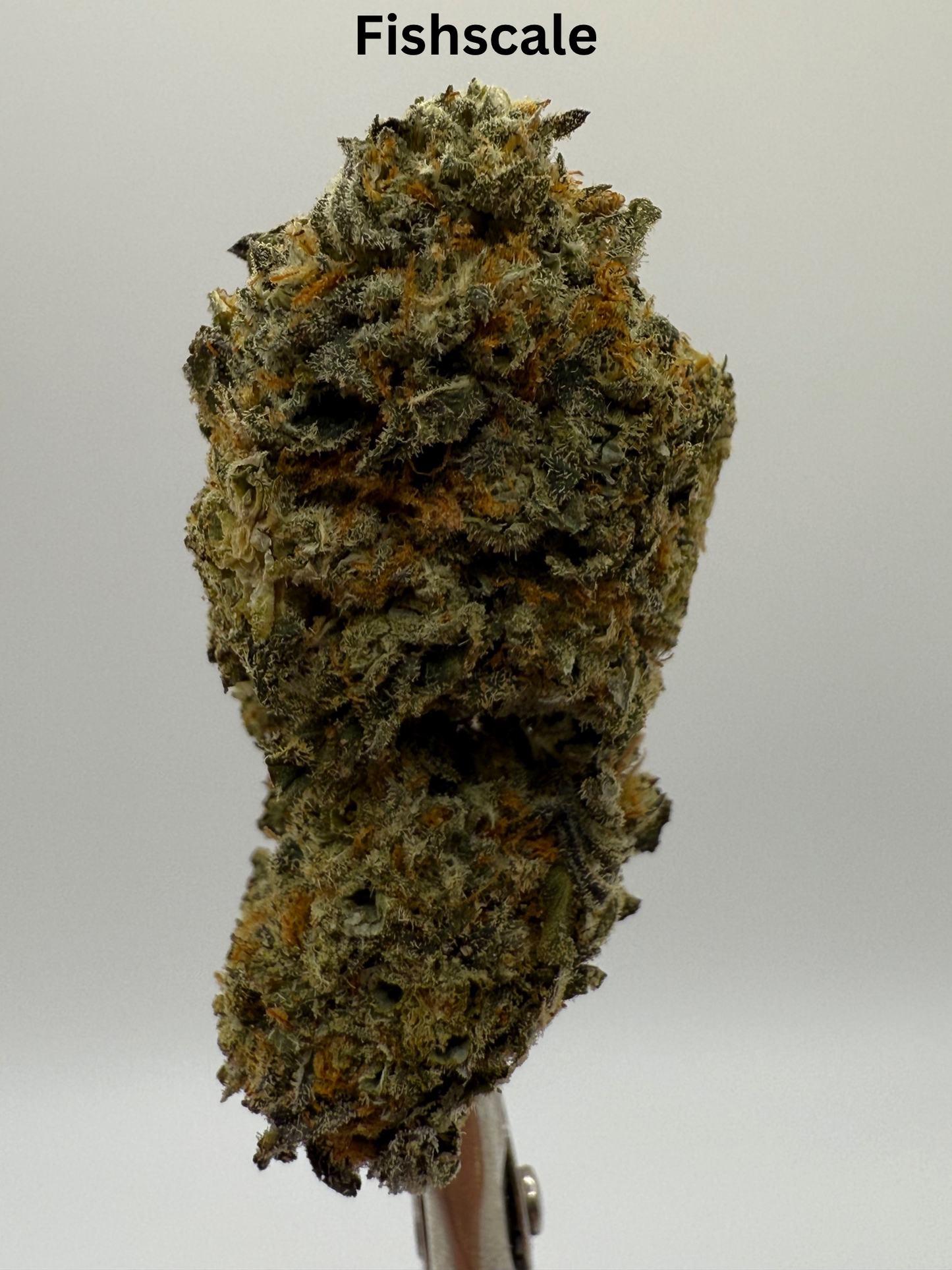 Premium THCA Flower