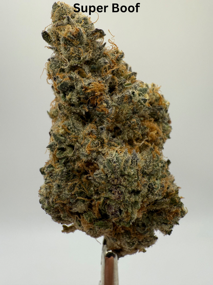 Premium THCA Flower