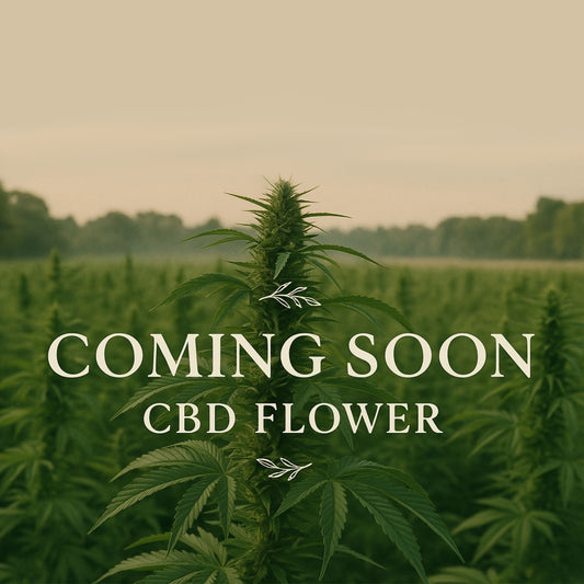 Premium CBD Flower (Coming Soon)