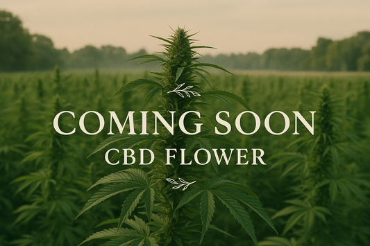 Premium CBD Flower (Coming Soon)